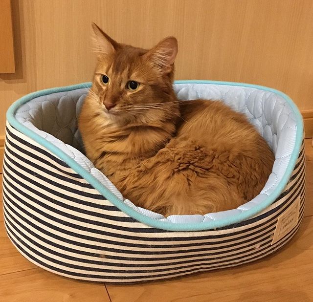 インスタ2018-5-17