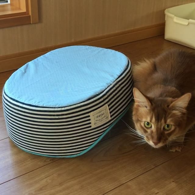 インスタ2018-5-22