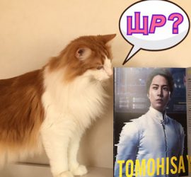 ラフィと映画パンフレット