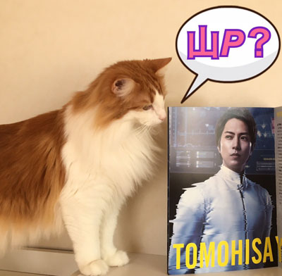 ラフィと映画パンフレット