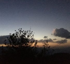 早朝のクンジャプリ風景