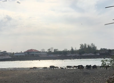 ガンガー沿岸風景