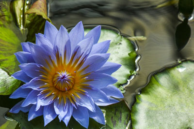 ヨーガイメージ