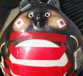 ラグビーたぬき