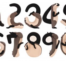 カワウソの数字