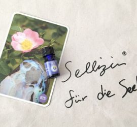 ゼリツィンエリクサーとカード