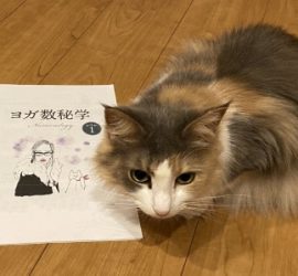 ヨガ数秘学講座テキストと猫