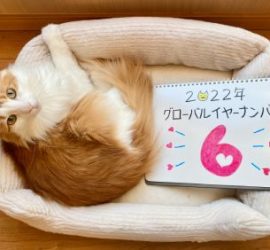 2022年イヤーナンバーは６